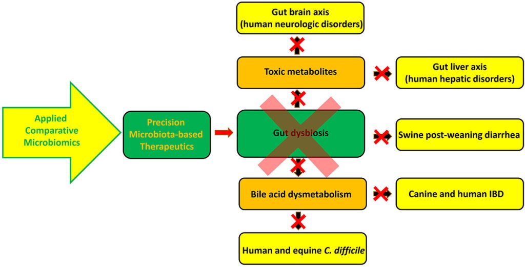 Gut dysbiosis - the key research theme