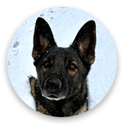 User-Profile-Image