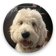 User-Profile-Image