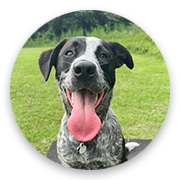 User-Profile-Image