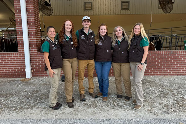 Bovine team