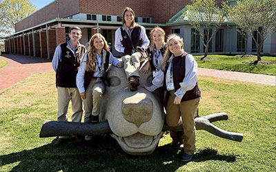 Bovine team
