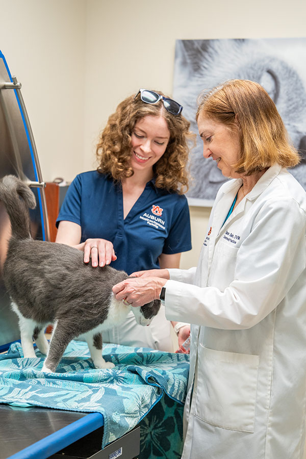 Dr. Delmain with cat and technician