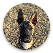 User-Profile-Image