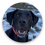 User-Profile-Image