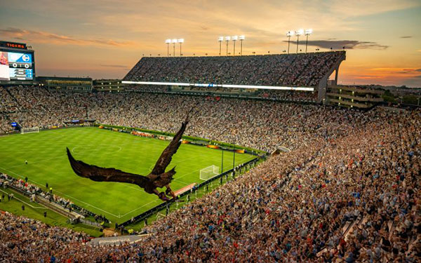 Aurea stadium flight