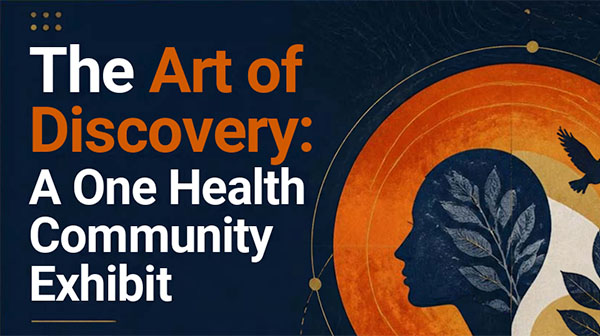 The Art of Discovery